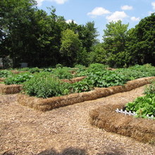 Parkview garden.large